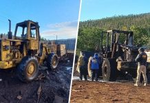 Ataque incendiario en el Biobío: Sujetos queman dos cargadores frontales y PDI halla pancarta reinvindicatoria