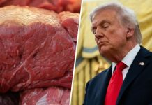 Carne argentina en el centro de una pugna entre Trump y ganaderos de EE.UU.: «Deben bajar sus precios»