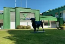 Frigorífico Osorno da cuenta de grandes pérdidas por detención de faenas, ante paro del SAG