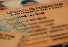 Licencias de conducir falsas en Puerto Montt: Son comercializadas a través de WhatsApp