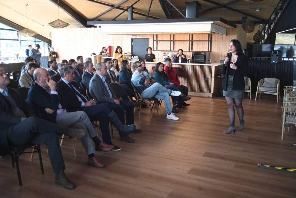 Experto advierte llegada del crimen organizado en puertos del sur y Empormontt idea instalar arcos de escáner para camiones