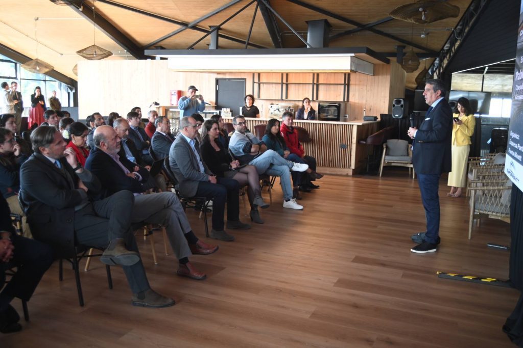 Experto advierte llegada del crimen organizado en puertos del sur y Empormontt idea instalar arcos de escáner para camiones