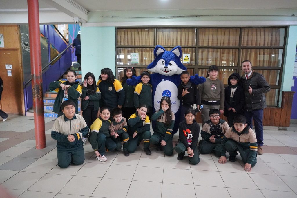 Llaman a colegios privados y subvencionados de Puerto Montt a colaborar con vacunación contra el VHP