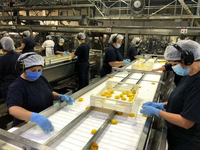 Aconcagua-Foods-abre-mas-de-2.000-plazas-de-trabajo-696x522