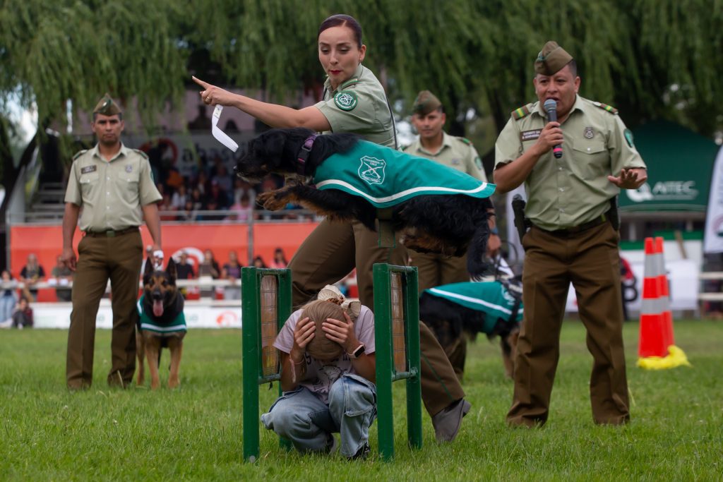 Escuela de Adiestramiento Canino y Cuadro Verde de Carabineros deslumbraron a los asistentes de SAGO FISUR 2025