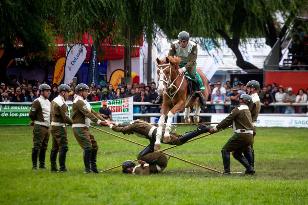 Escuela de Adiestramiento Canino y Cuadro Verde de Carabineros deslumbraron a los asistentes de SAGO FISUR 2025