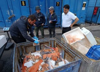 Detienen a 22 delincuentes ligados al robo de camiones con carga de salmones entre Calbuco y Puerto Montt inicio