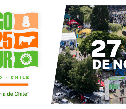 SAGO FISUR 2025 en tierra derecha inicio