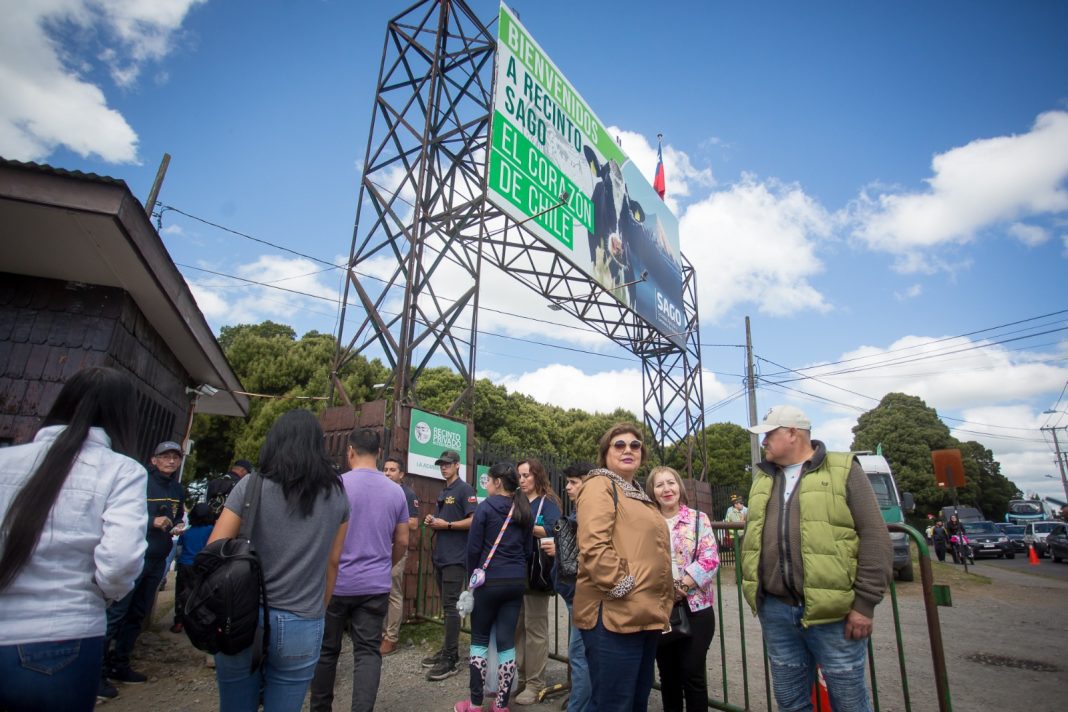 WhatsApp Image 2024-11-30 at 19.52.30