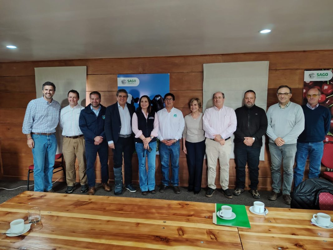 WhatsApp Image 2025-11-07 at 15.41.11 (1)