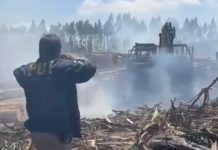 Nuevo ataque incendiario en La Araucanía: Queman siete maquinarias en predio de Cunco y PDI halla lienzo