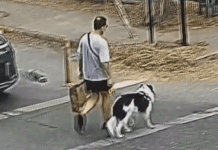 Triple homicidio calificado con alevosía: Fiscalía detalla caso de La Reina