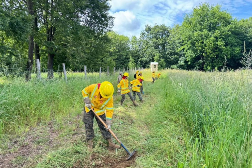 Brigadas Forestales del Destacamento de Montaña N.º 9 “Arauco” intensifican su preparación