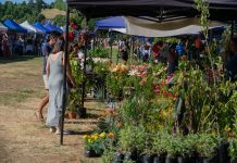 Parque Cuarto Centenario será el escenario de la “Expo Flores y Plantas 2025”
