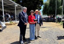 Tamara Haeger, premio Rene Soriano Bórquez, transforma los fríos números en gestión eficiente en el agro