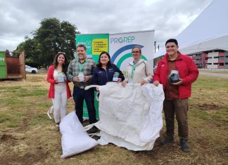 ProREP lidera campaña de recepción y reciclaje de sacos y maxisacos en el Recinto SAGO inicio