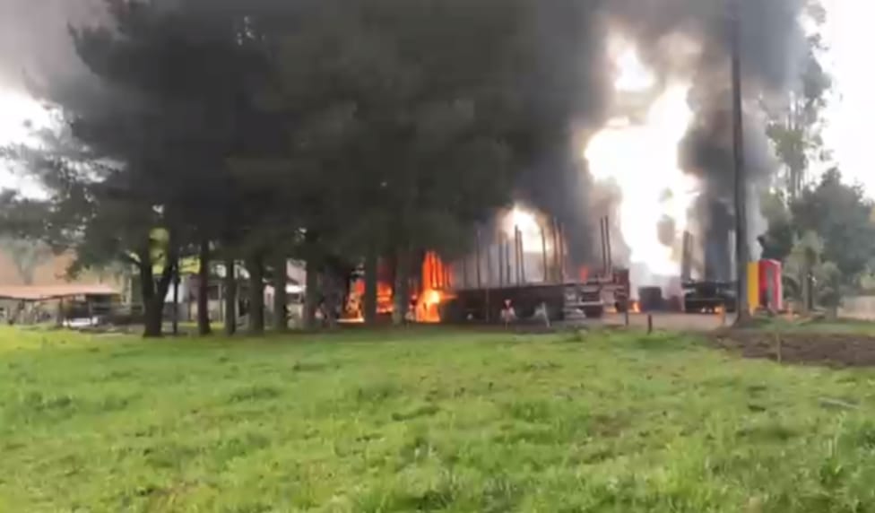 WhatsApp Image 2025-12-12 at 12.19.46