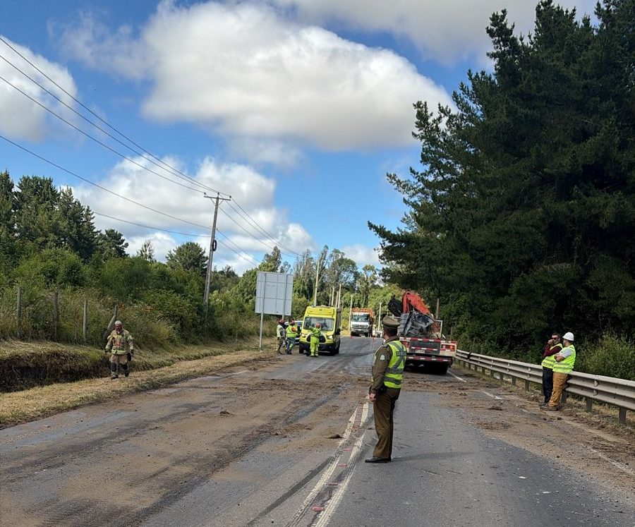 WhatsApp Image 2025-12-18 at 11.08.31 AM