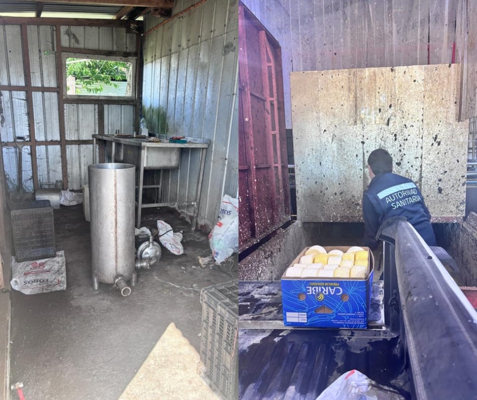 WhatsApp Image 2025-12-18 at 16.58.07