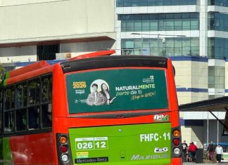 Atropello de menor reabre debate por exceso de velocidad en micros y control vía GPS inicio