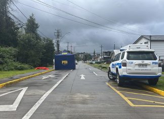 PDI concreta detención de joven por homicidio en la vía pública de Puerto Varas inicio