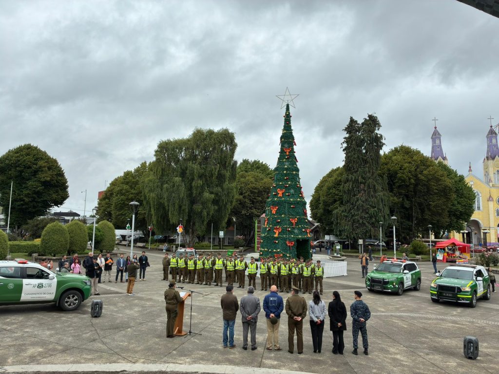 Verano Seguro: Refuerza fiscalización y vigilancia en temporada de vacaciones en la región de Los Lagos