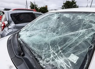 Identifican al autor del atropello a guardias en Puerto Montt inicio