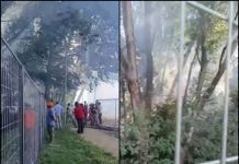 Incendio forestal urbano en Osorno fue contenido tras rápido despliegue de bomberos y brigadas forestales