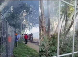 Incendio forestal urbano en Osorno fue contenido tras rápido despliegue de bomberos y brigadas forestales inicio