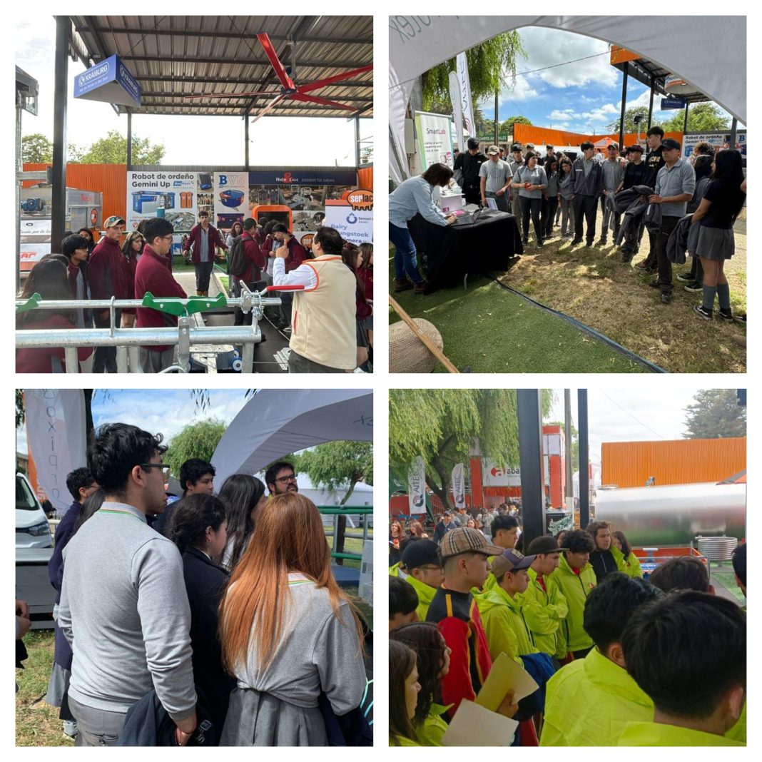 ruta conocimiento (2)