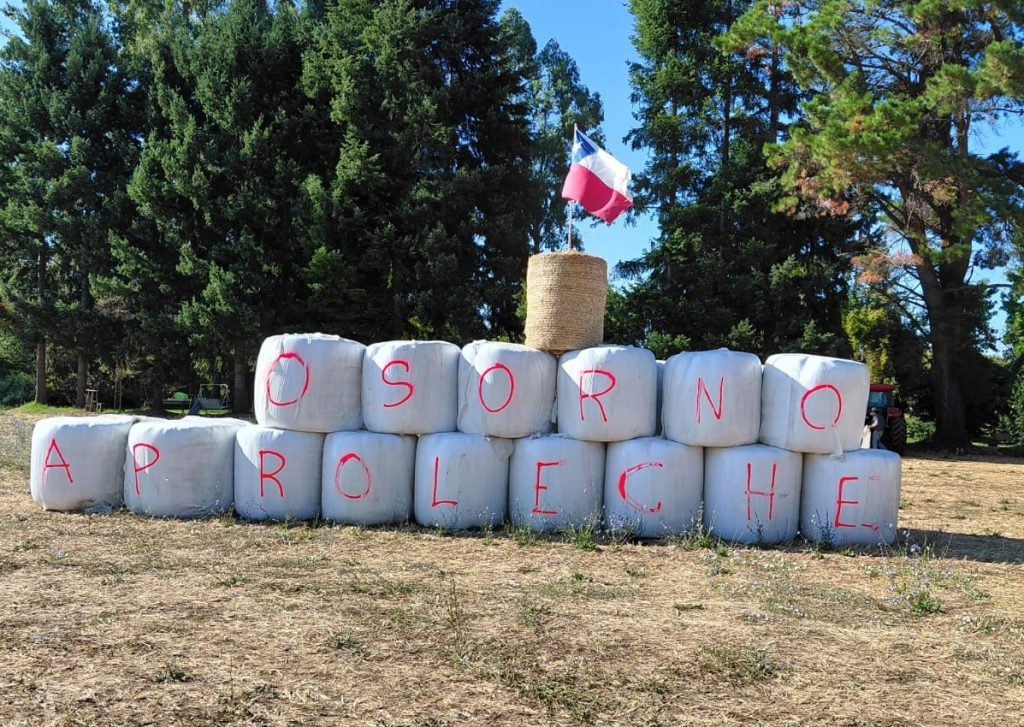 Aproleche Osorno se suma a campaña de apoyo por incendios forestales en el centro-sur del país