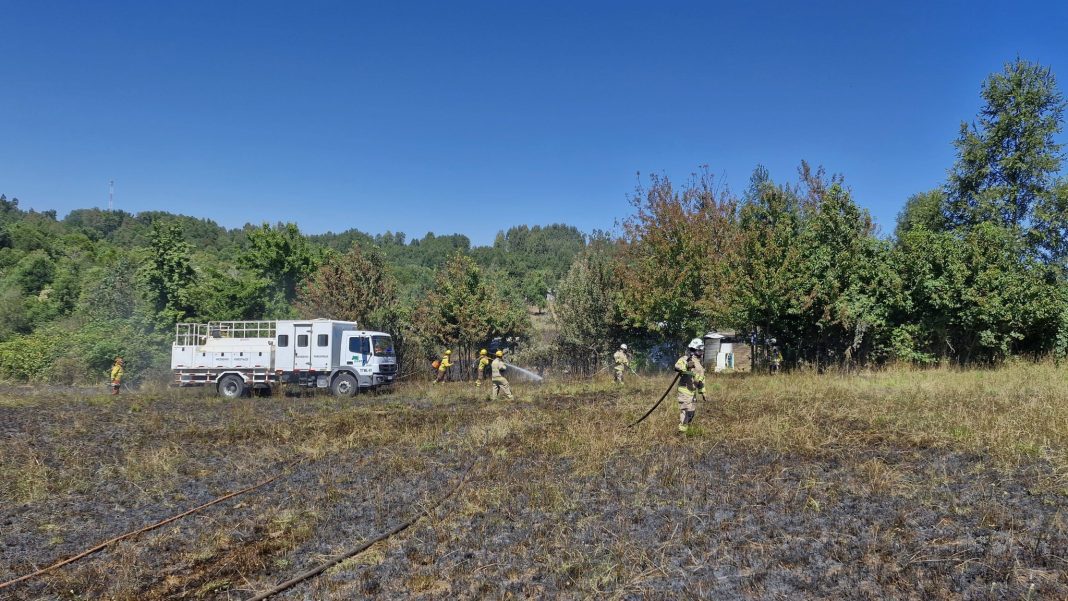 615824844_1335883598550850_2890691746310975470_n