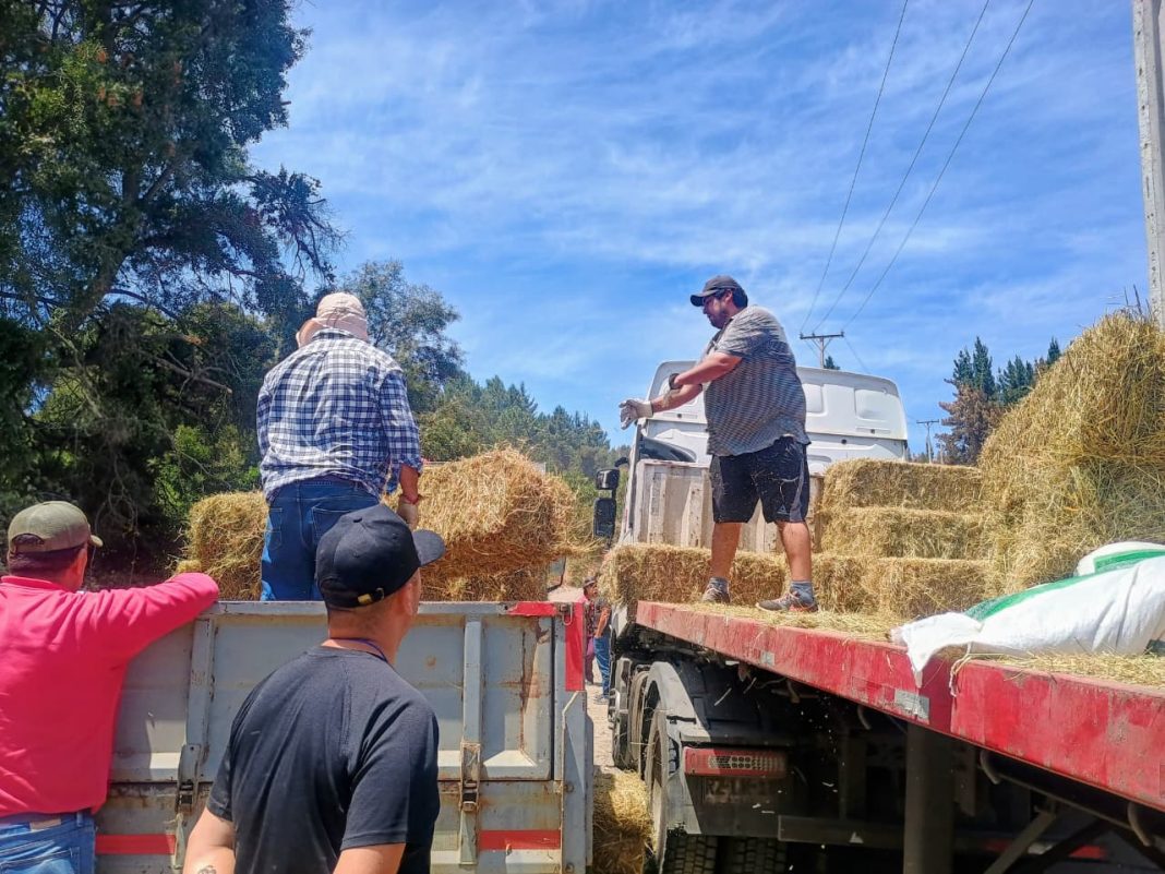 622892985_1344089244430245_1624860089085238588_n