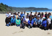 San Juan de la Costa prepara una gran cartelera de eventos culturales, deportivos y gastronómicos para este verano