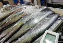 Fiscalizan pescaderías en Feria Libre Rahue destacando trazabilidad de productos, aunque, inician dos sumarios sanitarios