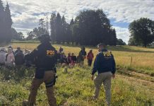 PDI refuerza operativos de fiscalización a situación migratoria de extranjeros trabajadores temporeros