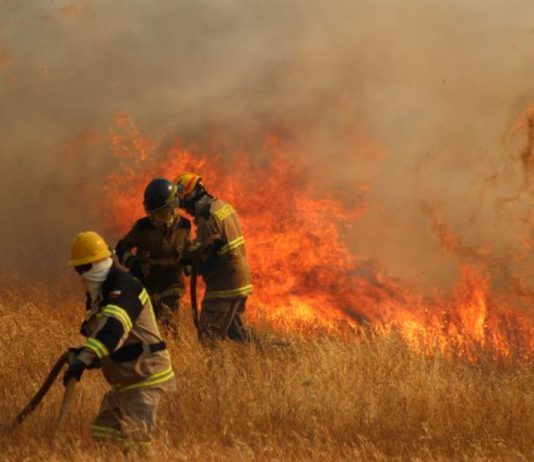 Declaran Alerta Temprana Preventiva en la provincia de Osorno por riesgo de incendios forestales inicio