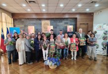 Medio centenar de viveristas participarán de la Expo “Jardín y Campo 2026” en Osorno