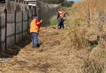 Municipio de San Pablo ejecuta limpieza de fajas cortafuego y fortalece rol preventivo