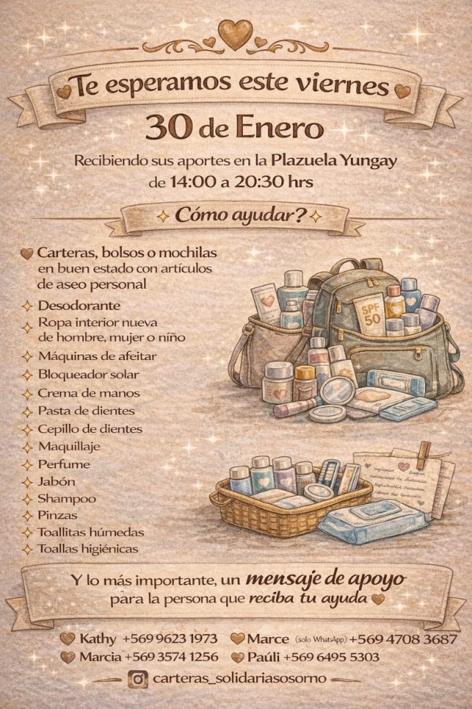 Campaña "Carteras solidarias Osorno" amplía ayuda a mujeres, hombres y niños afectados por incendios en Biobío y Ñuble