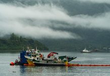 Continúa intensa búsqueda tras naufragio: Siguen los buceos para ubicar a tres desaparecidos y preparan reflote de embarcación