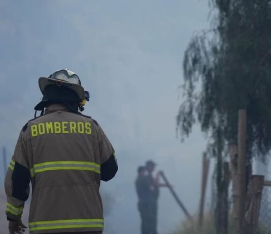 Incendio forestal en Puerto Montt: Senapred solicita evacuar Panitao Bajo inicio