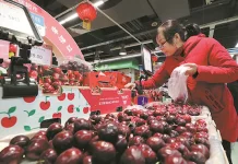 Productores de cerezas de la zona sur esperan buen precio en el año nuevo chino