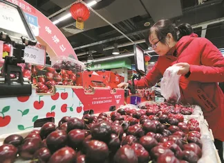 Productores de cerezas de la zona sur esperan buen precio en el año nuevo chino inicio