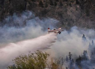 Incendios en la Patagonia argentina no paran y arrasan con 21.000 hectáreas inicio
