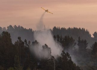 Se mantienen 18 incendios forestales activos en Chile, según informa CONAF inicio