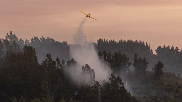 file_20260123130044 BALANCE INCENDIOS