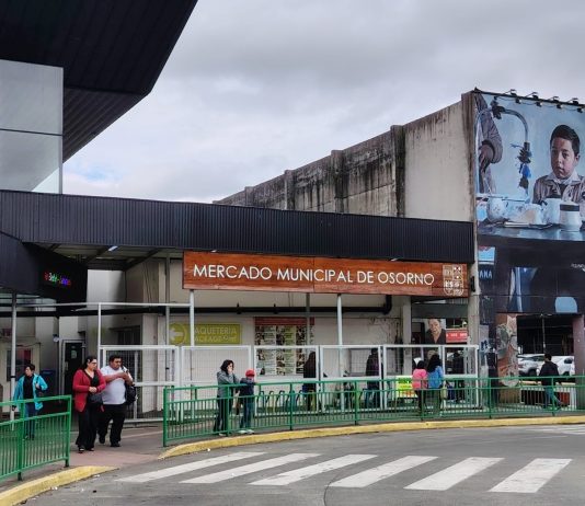 Rentabilidad social: concejal de Osorno cuestiona manejo municipal de ferias y locales comerciales