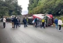 Restablecen tránsito normal en la ruta internacional 215 tras volcamiento de camión