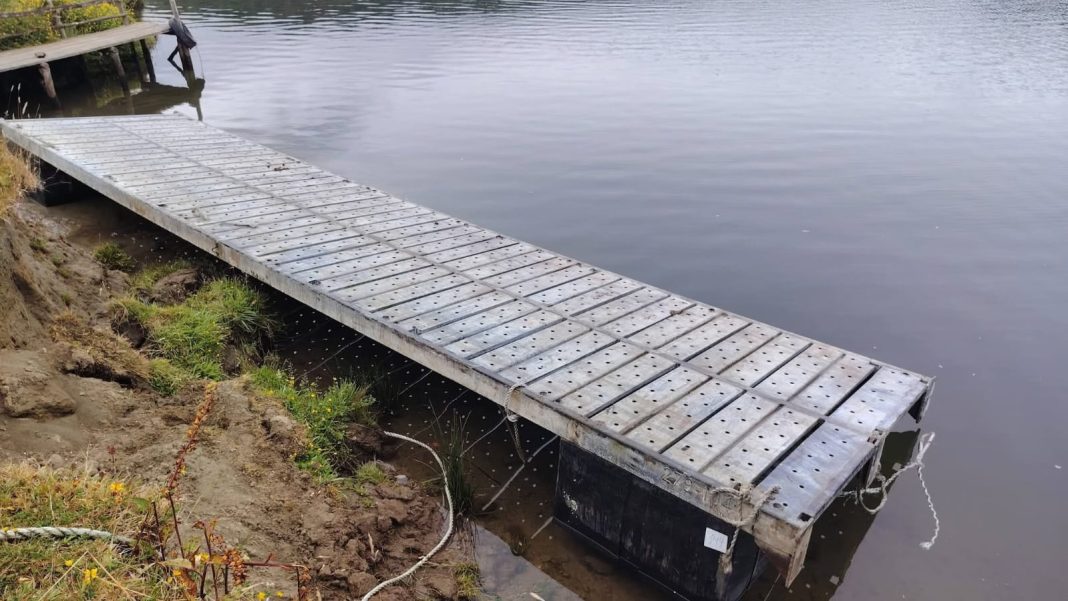 WhatsApp Image 2026-02-03 at 15.20.54